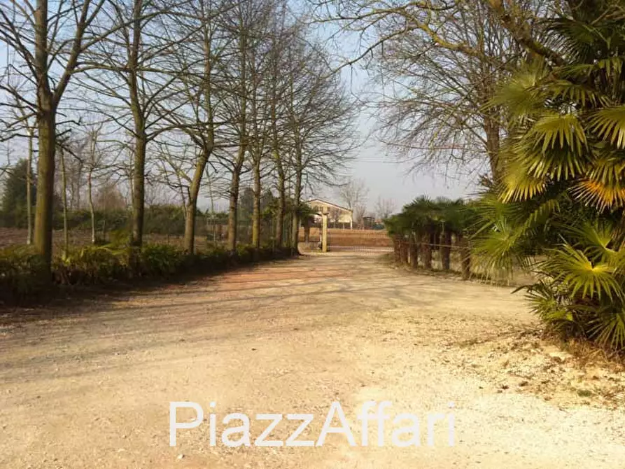 Immagine 19 di Villa in vendita  in Sant'Angelo di Piove di Sacco Via Roma a Sant'angelo Di Piove Di Sacco