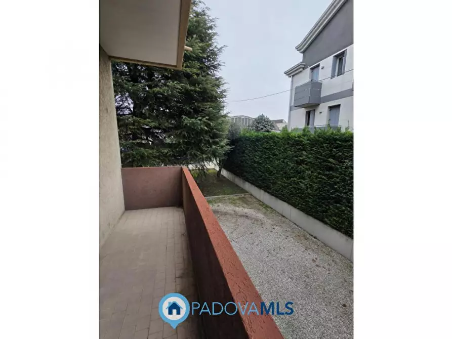 Immagine 9 di Appartamento in vendita  in Via Francesco Petrarca a Noventa Padovana