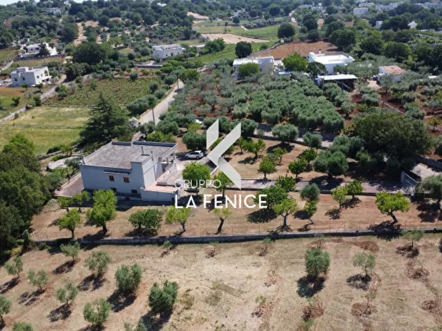 Immagine 4 di Villa in vendita  in c.da san marco a Locorotondo