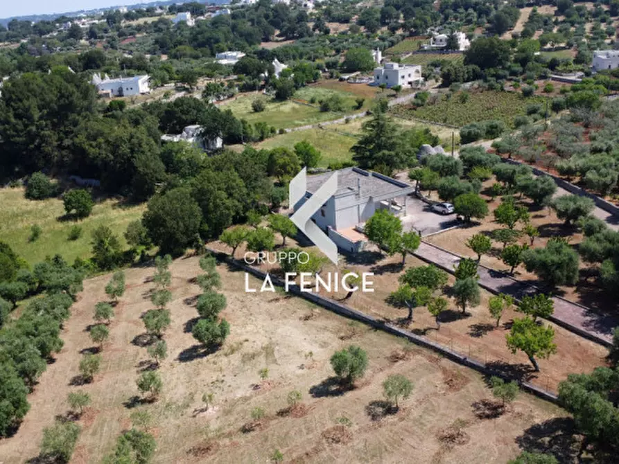 Immagine 5 di Villa in vendita  in c.da san marco a Locorotondo