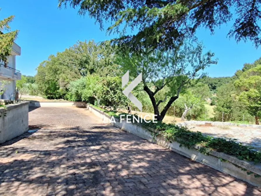Immagine 27 di Villa in vendita  in c.da san marco a Locorotondo
