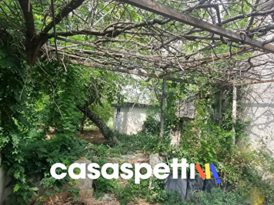 Immagine 3 di Rustico / casale in vendita  in via san francesco a Avella