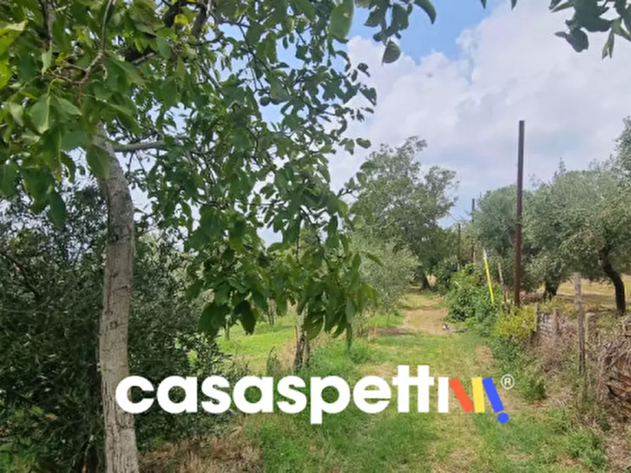 Immagine 5 di Rustico / casale in vendita  in via san francesco a Avella