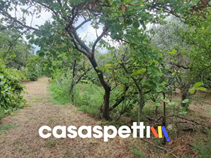 Immagine 7 di Rustico / casale in vendita  in via san francesco a Avella