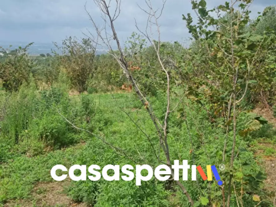 Immagine 9 di Rustico / casale in vendita  in via san francesco a Avella