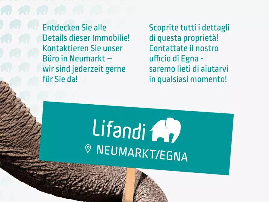 Immagine 5 di Attività commerciale in vendita  a Egna .Neumarkt.