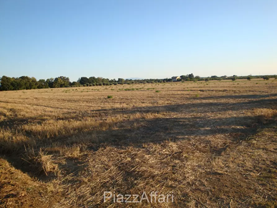 Immagine 4 di Terreno in vendita  in Via San Bovo a Correzzola
