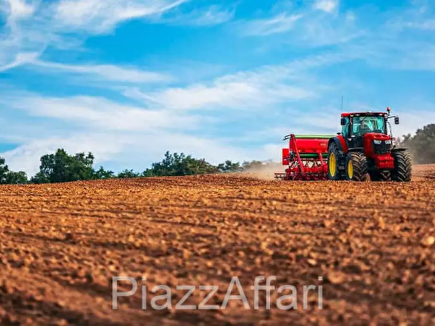 Immagine 5 di Terreno in vendita  in Via San Bovo a Correzzola