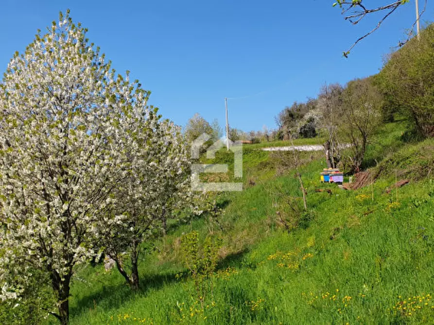 Immagine 1 di Terreno in vendita  in Via Belvedere a Provaglio Val Sabbia