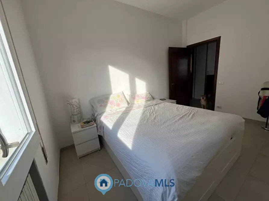 Immagine 9 di Casa bifamiliare in vendita  in Via Padova a Albignasego