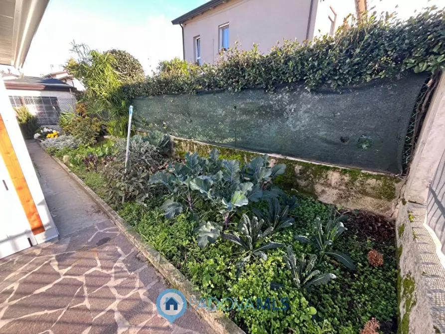 Immagine 10 di Casa bifamiliare in vendita  in Via Padova a Albignasego