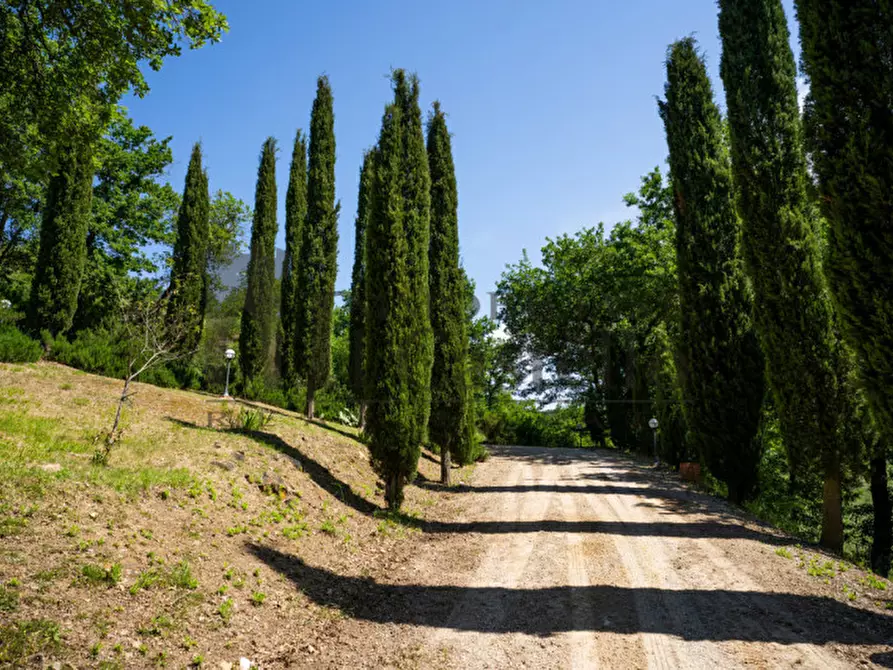 Immagine 5 di Rustico / casale in vendita  in Strada Provinciale di Rigomagno a Sinalunga