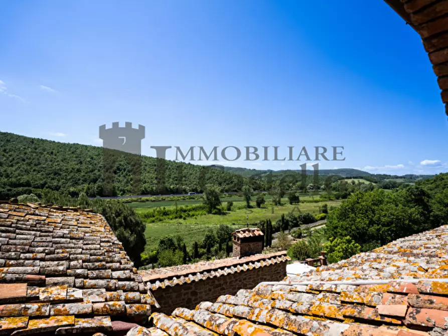 Immagine 32 di Rustico / casale in vendita  in Strada Provinciale di Rigomagno a Sinalunga