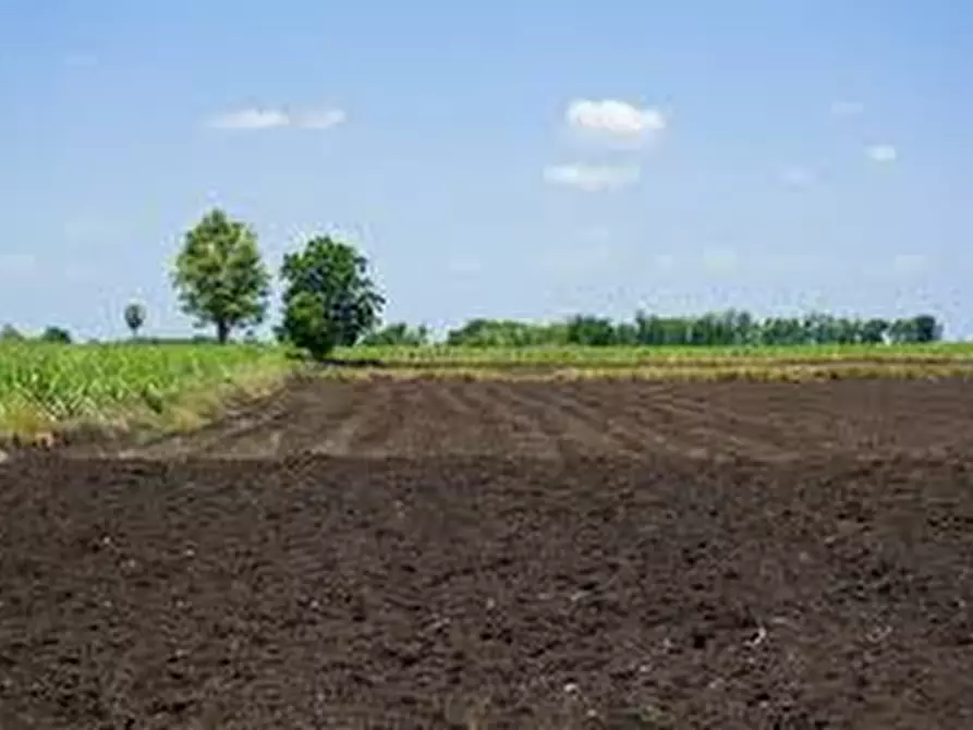 Immagine 1 di Terreno in vendita  a Padova