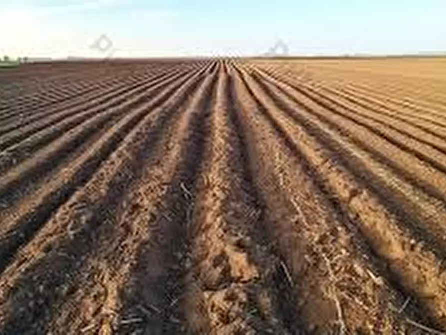 Immagine 3 di Terreno in vendita  a Padova