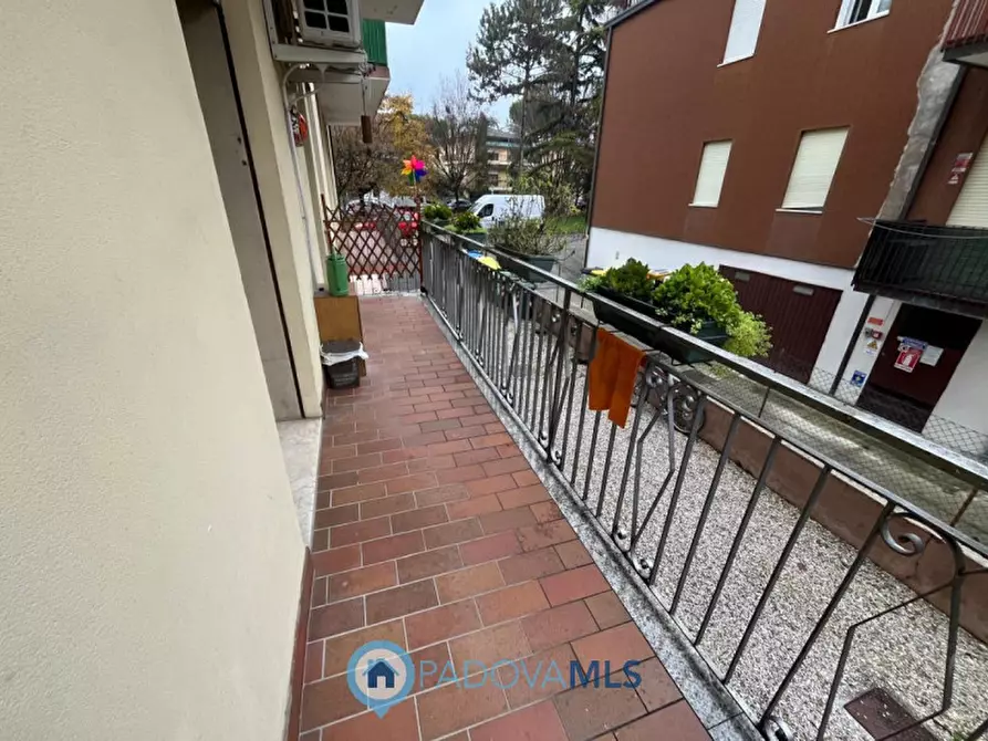 Immagine 26 di Appartamento in vendita  in VIA BRAMANTE a Padova