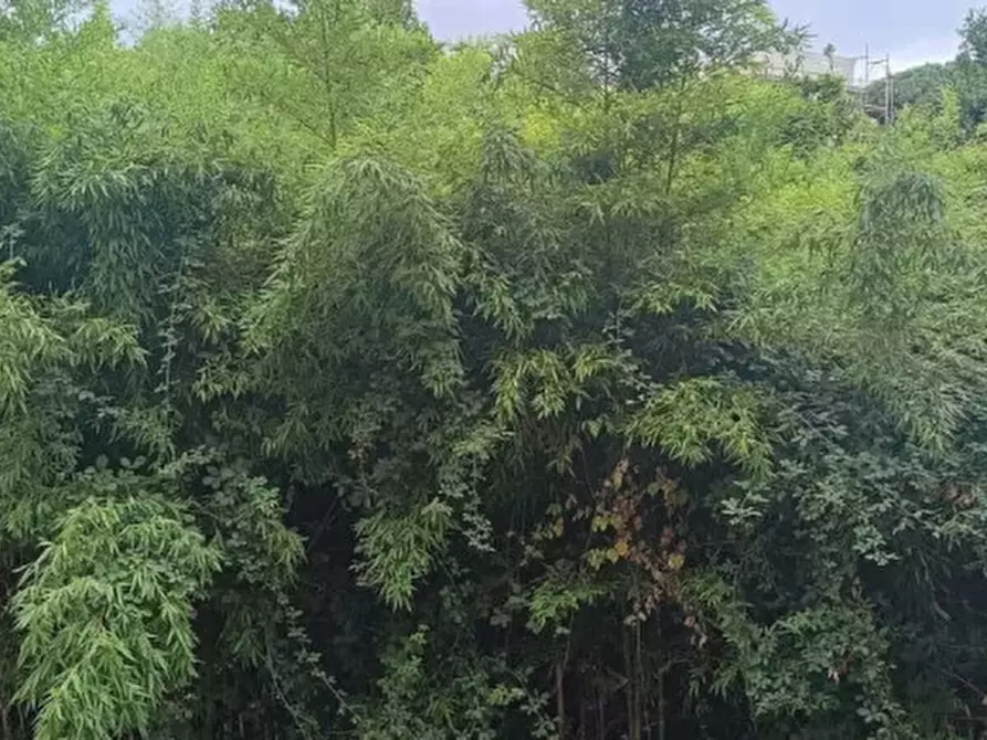 Immagine 12 di Appartamento in vendita  in VIA NICOLARDI 143 a Napoli