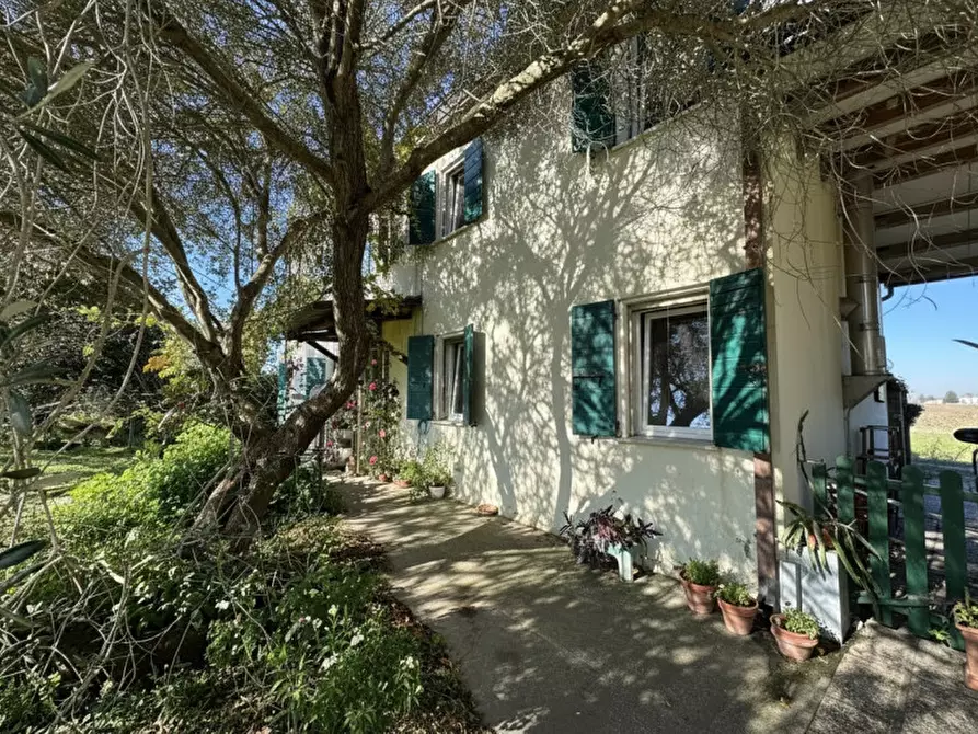 Immagine 2 di Casa indipendente in vendita  in Papozze, Via Moia a Papozze