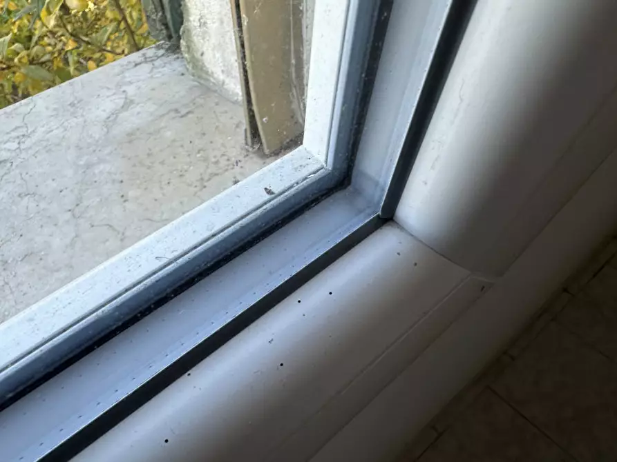 Immagine 16 di Casa indipendente in vendita  in Papozze, Via Moia a Papozze