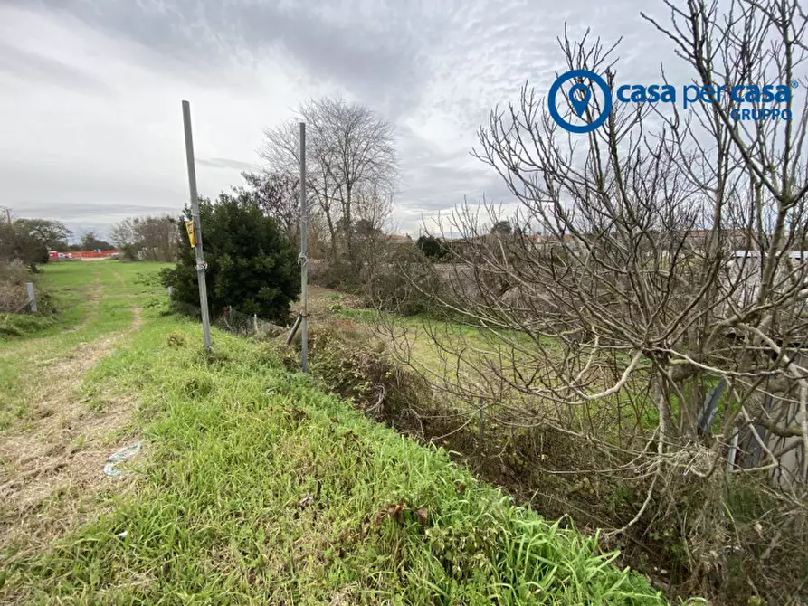 Immagine 20 di Casa indipendente in vendita  in Loreo, Via Del Mare a Loreo