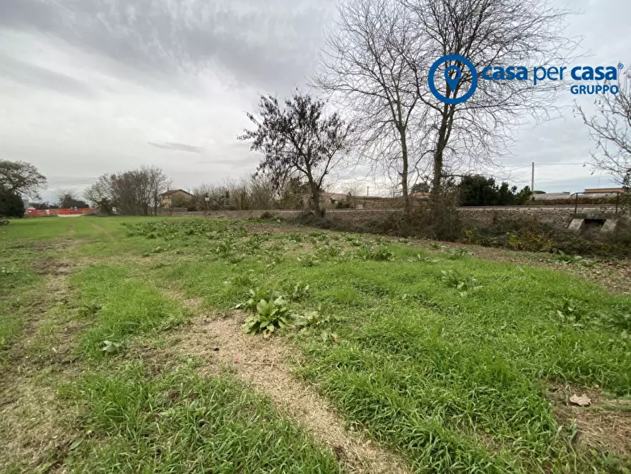 Immagine 21 di Casa indipendente in vendita  in Loreo, Via Del Mare a Loreo