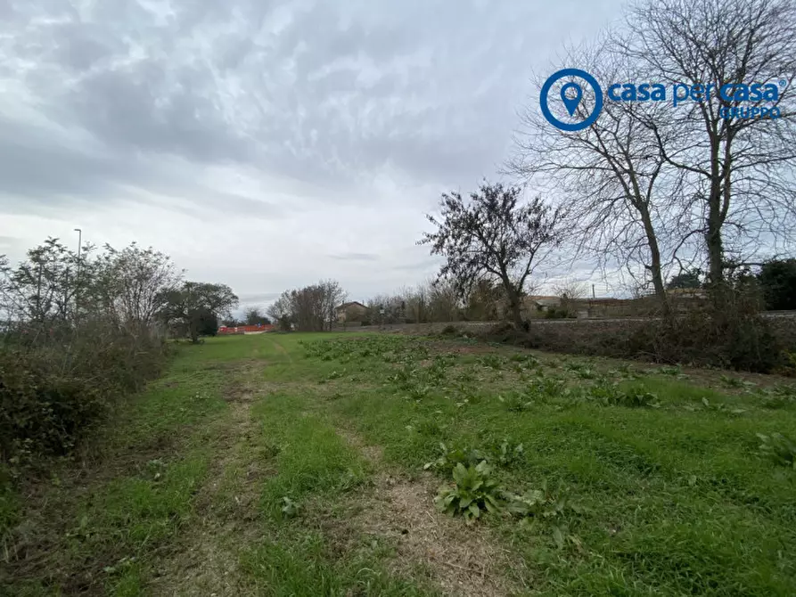 Immagine 22 di Casa indipendente in vendita  in Loreo, Via Del Mare a Loreo