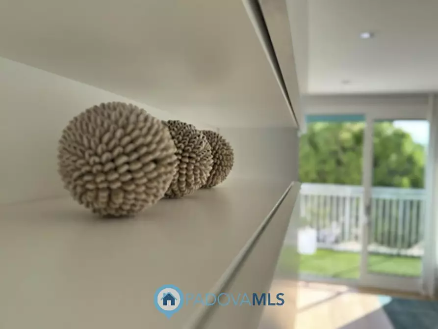 Immagine 6 di Appartamento in vendita  a Jesolo