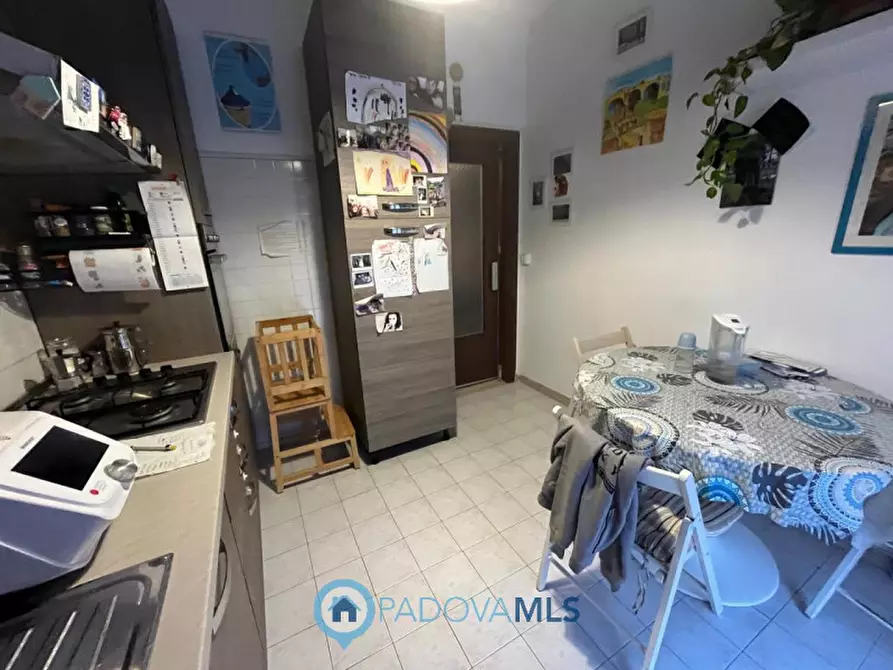 Immagine 8 di Appartamento in vendita  in via donato bramante, 1 a Padova