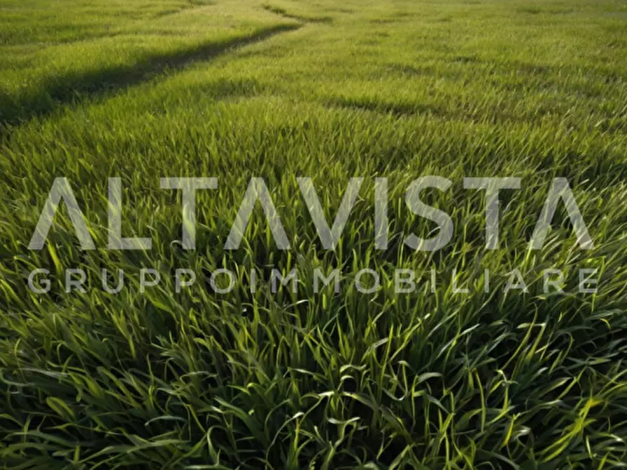 Immagine 3 di Terreno in vendita  in Via delle Brede a Calvagese Della Riviera