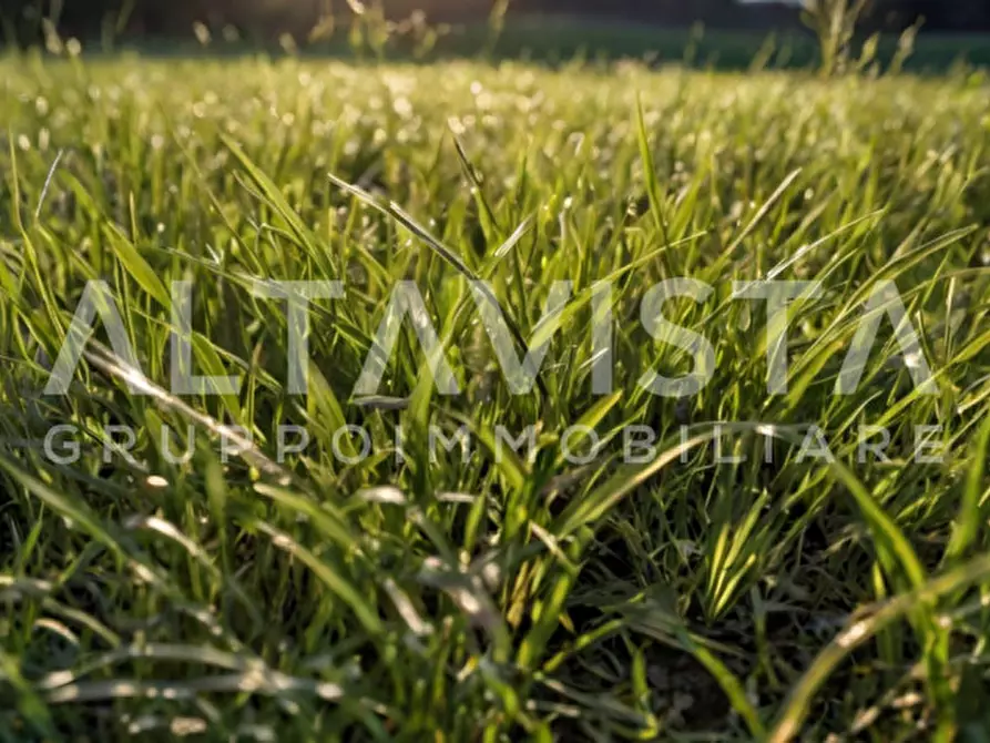 Immagine 5 di Terreno in vendita  in Via delle Brede a Calvagese Della Riviera