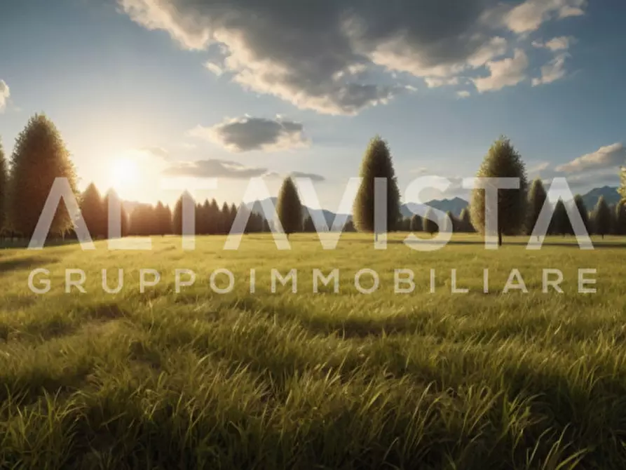 Immagine 8 di Terreno in vendita  in Via delle Brede a Calvagese Della Riviera