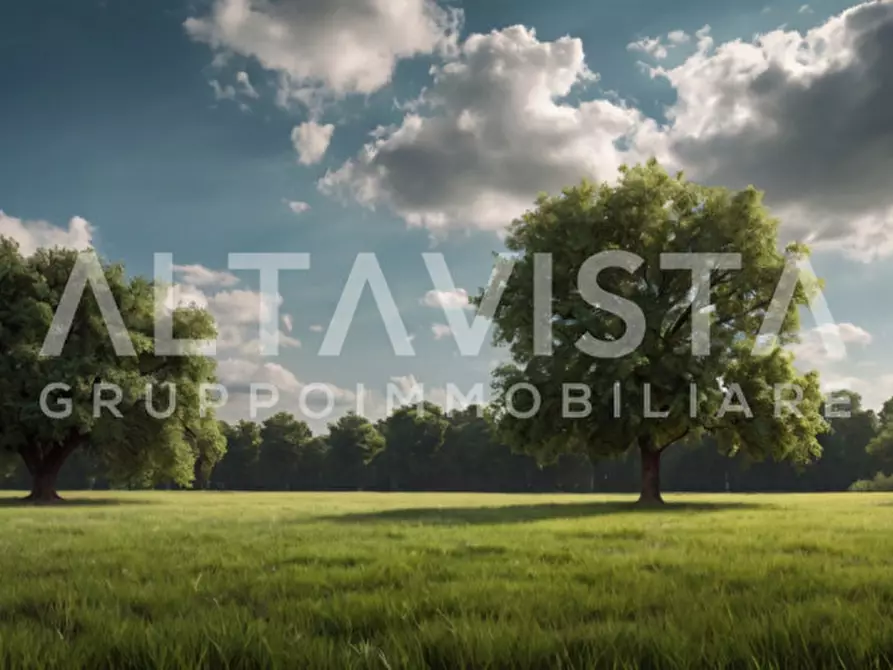 Immagine 14 di Terreno in vendita  in Via delle Brede a Calvagese Della Riviera