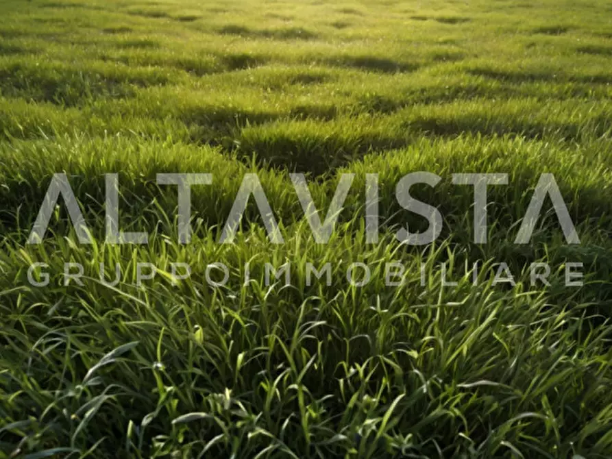 Immagine 16 di Terreno in vendita  in Via delle Brede a Calvagese Della Riviera