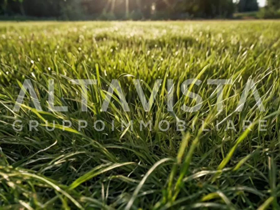 Immagine 20 di Terreno in vendita  in Via delle Brede a Calvagese Della Riviera