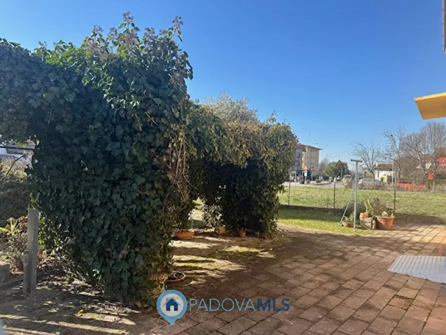 Immagine 9 di Casa indipendente in vendita  a Cadoneghe