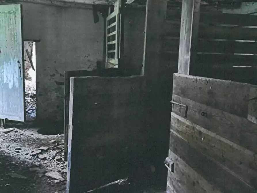 Immagine 3 di Villa in vendita  in Via Senatore Giovanni Cittadella   18 a Tombolo