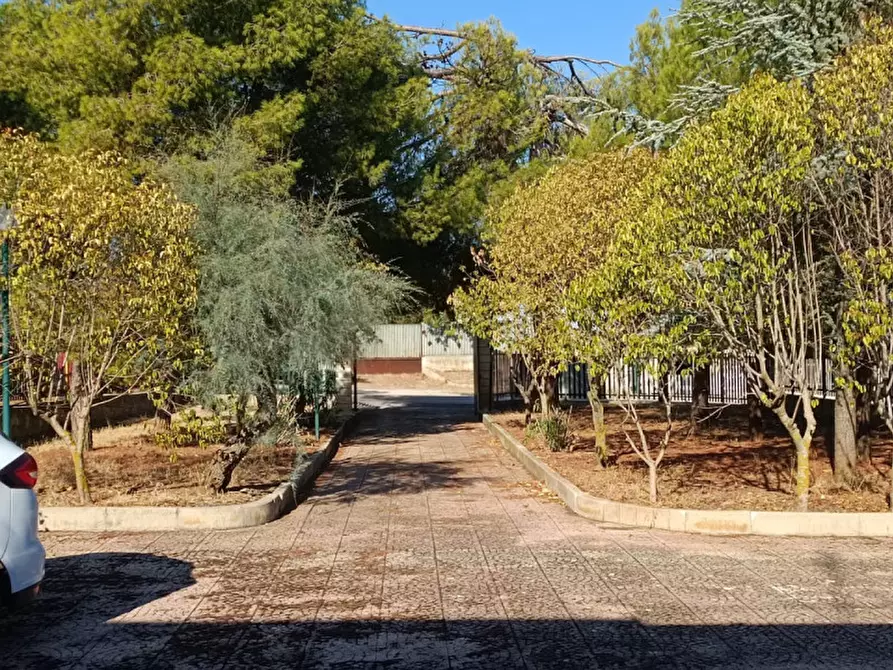 Immagine 2 di Villa in vendita  in Strada Provinciale 238 a Corato