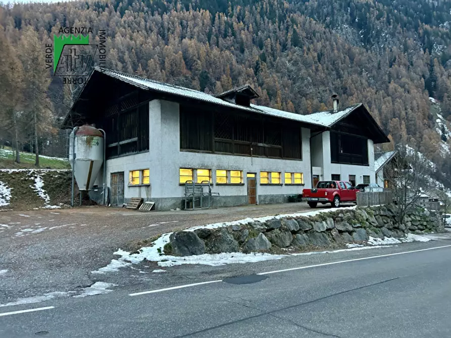 Immagine 1 di Capannone industriale in vendita  in SAN BERNARDO a Rabbi