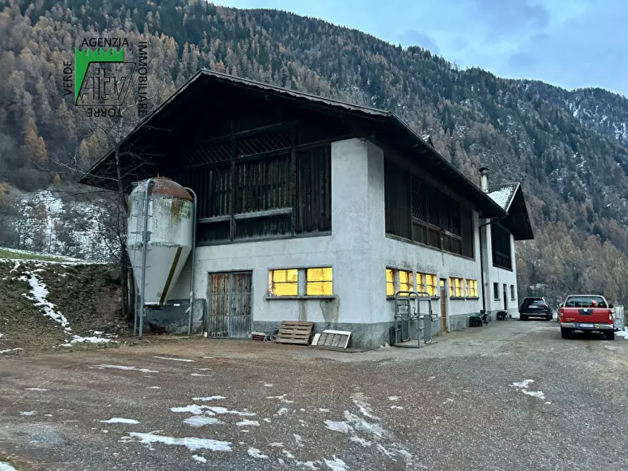 Immagine 3 di Capannone industriale in vendita  in SAN BERNARDO a Rabbi