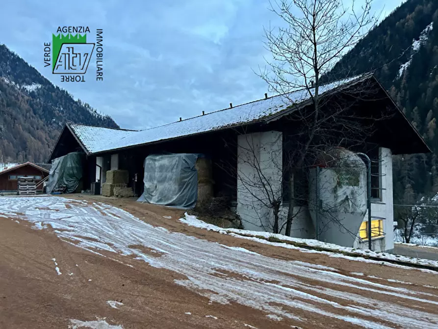 Immagine 4 di Capannone industriale in vendita  in SAN BERNARDO a Rabbi