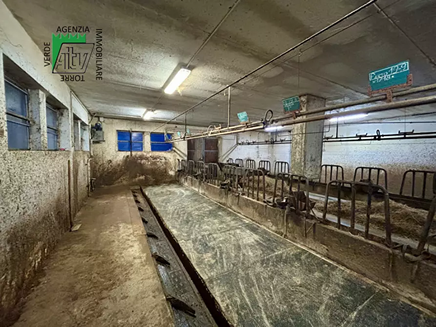 Immagine 6 di Capannone industriale in vendita  in SAN BERNARDO a Rabbi