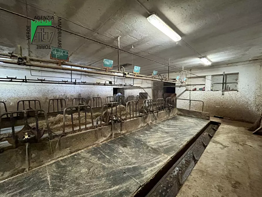 Immagine 7 di Capannone industriale in vendita  in SAN BERNARDO a Rabbi