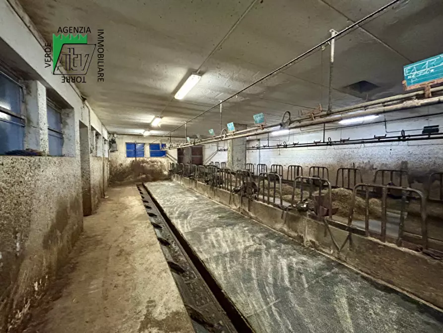 Immagine 8 di Capannone industriale in vendita  in SAN BERNARDO a Rabbi