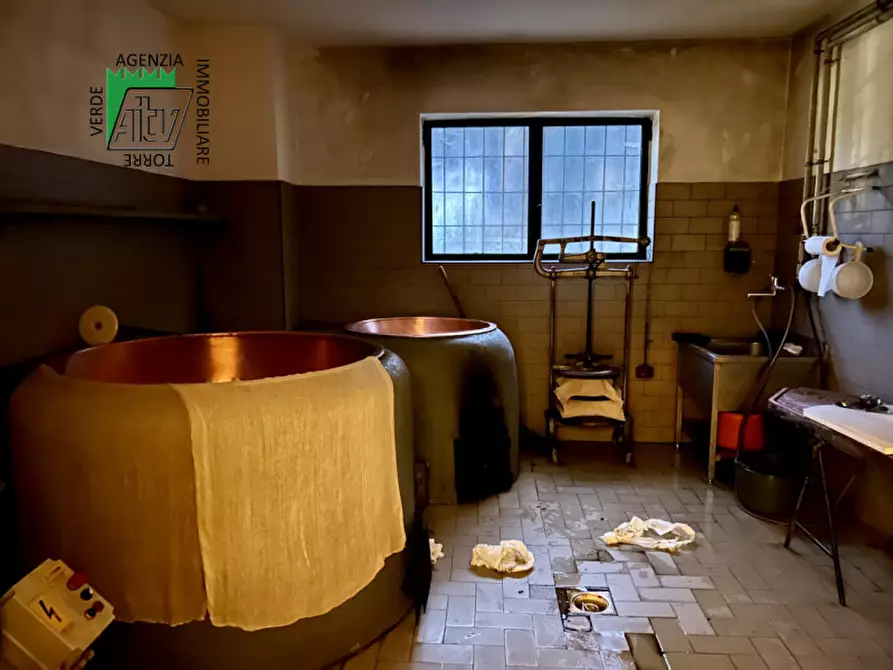 Immagine 9 di Capannone industriale in vendita  in SAN BERNARDO a Rabbi