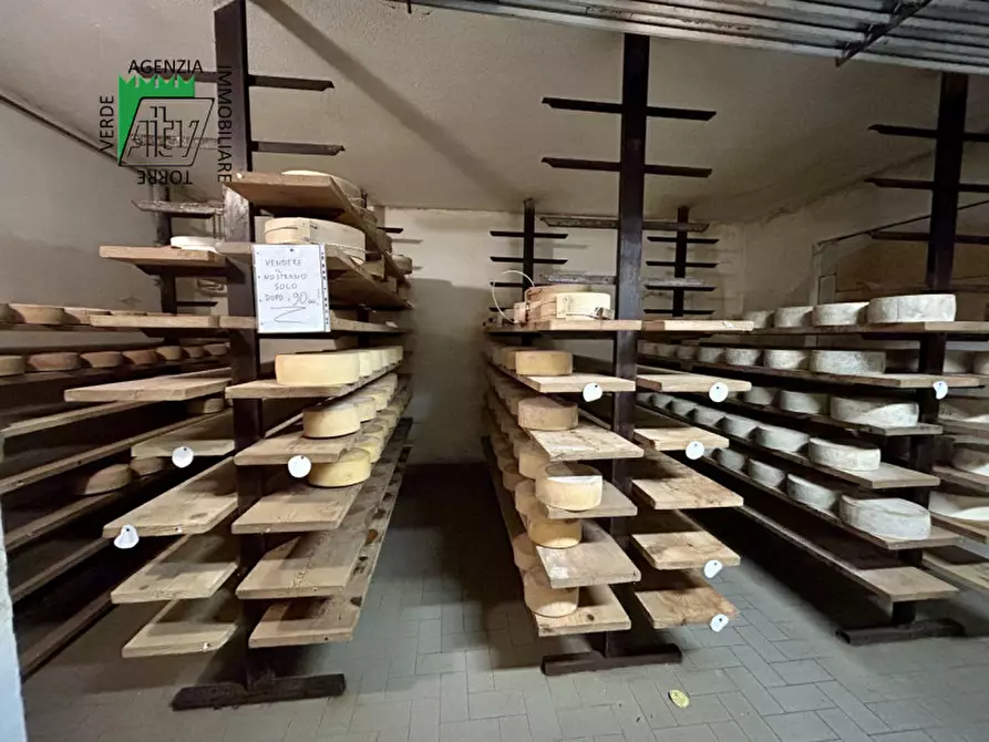 Immagine 11 di Capannone industriale in vendita  in SAN BERNARDO a Rabbi