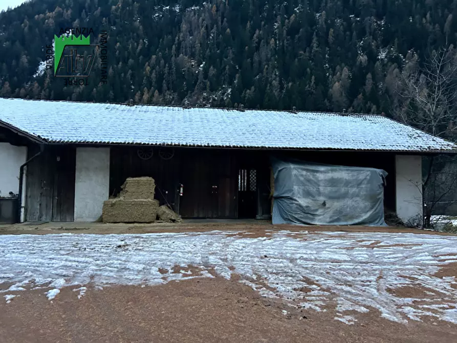 Immagine 12 di Capannone industriale in vendita  in SAN BERNARDO a Rabbi