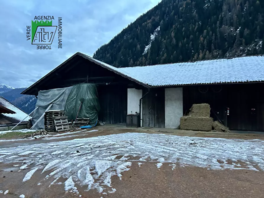 Immagine 13 di Capannone industriale in vendita  in SAN BERNARDO a Rabbi