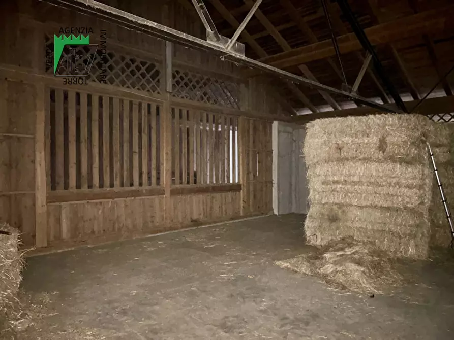 Immagine 15 di Capannone industriale in vendita  in SAN BERNARDO a Rabbi