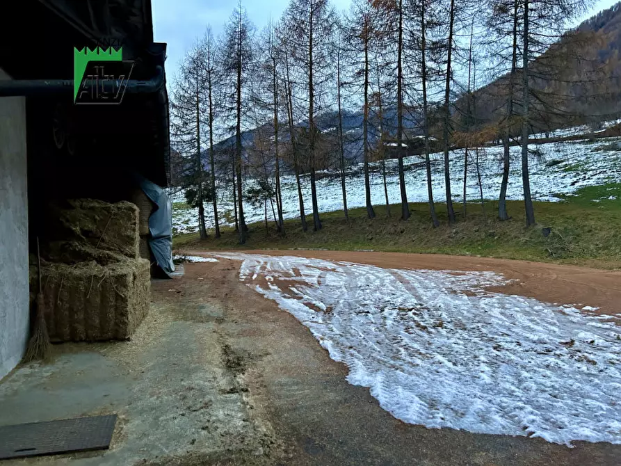 Immagine 19 di Capannone industriale in vendita  in SAN BERNARDO a Rabbi