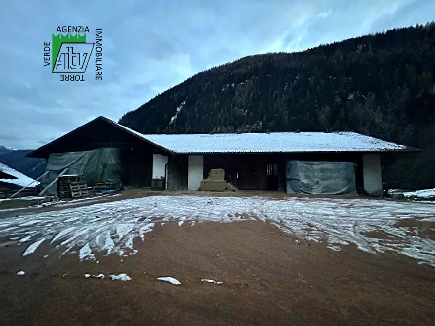 Immagine 21 di Capannone industriale in vendita  in SAN BERNARDO a Rabbi